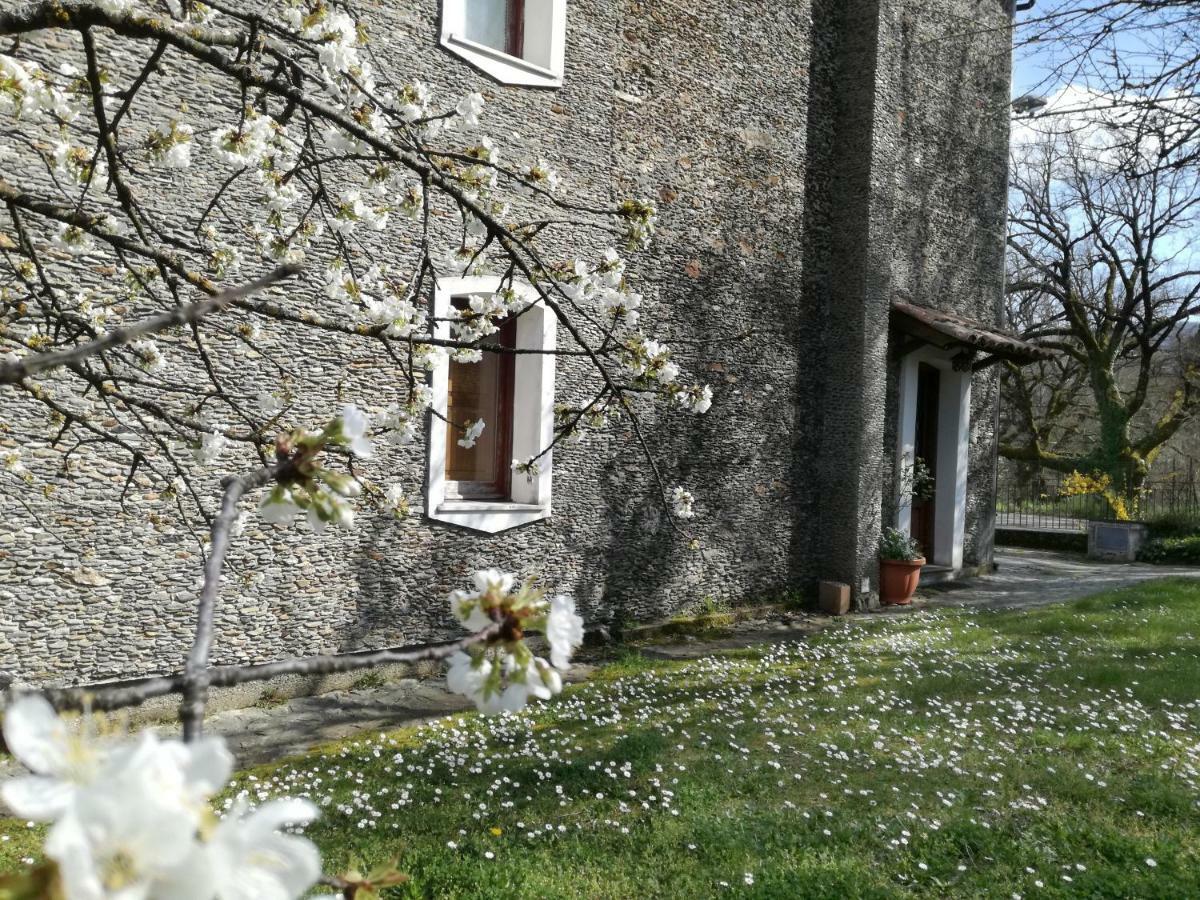 Casa Nel Verde Decollatura Eksteriør bilde